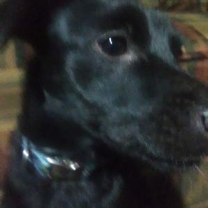 Meet your Posher, Bethany